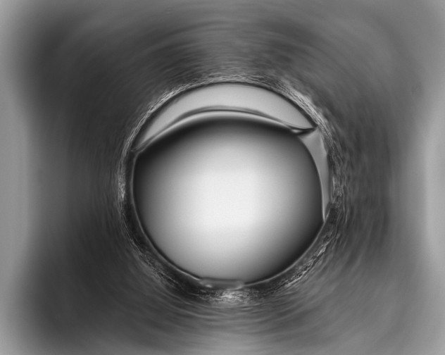 X0000096180060200802081508