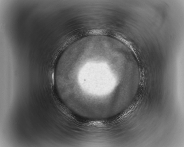 X0000096180061200802081508