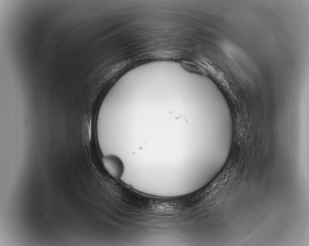 X0000096180062200802081508