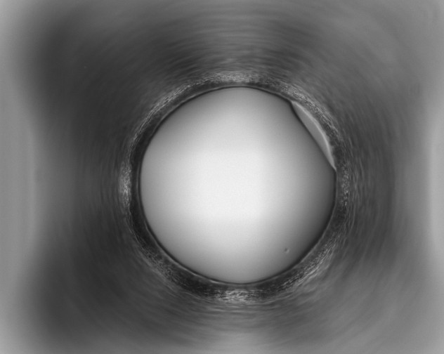 X0000096180064200802081508