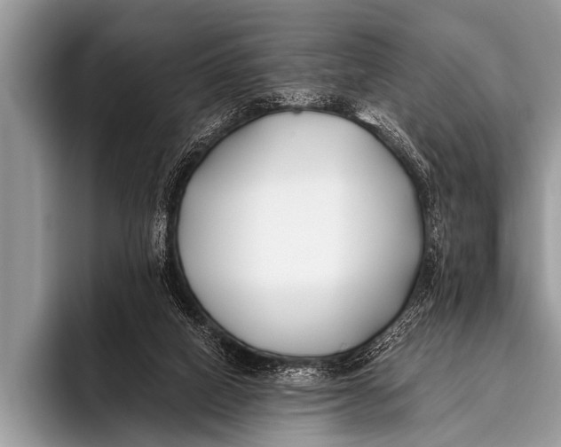 X0000096180066200802081508