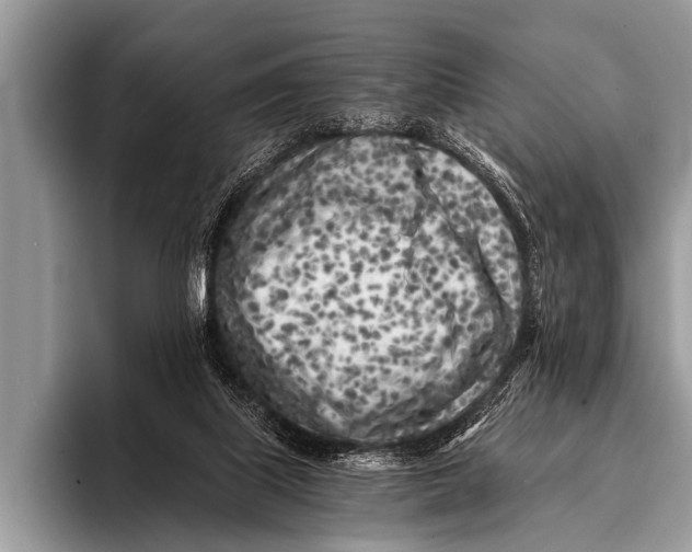 X0000096180067200802081508