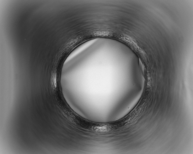 X0000096180068200802081508