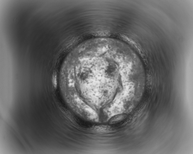 X0000096180069200802081508