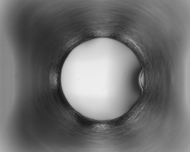 X0000096180071200802081508