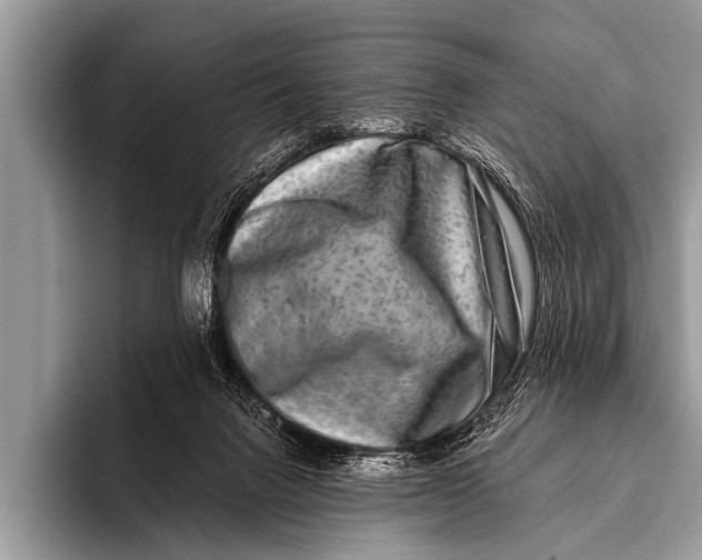 X0000096180072200802081508