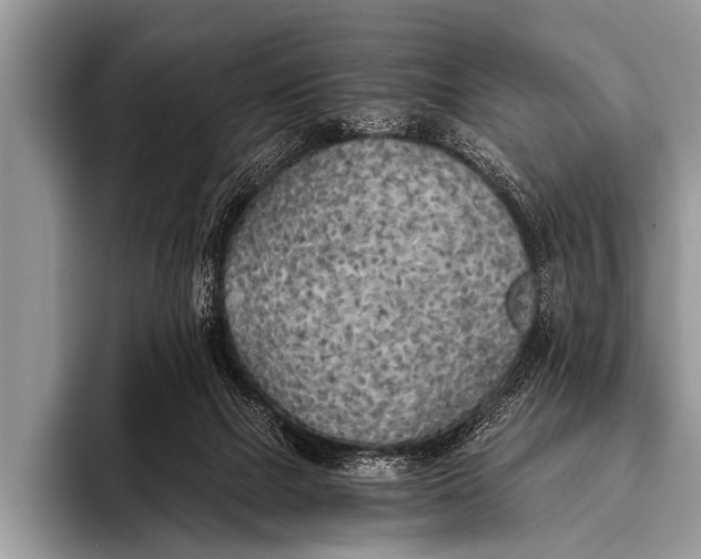 X0000096180073200802081508