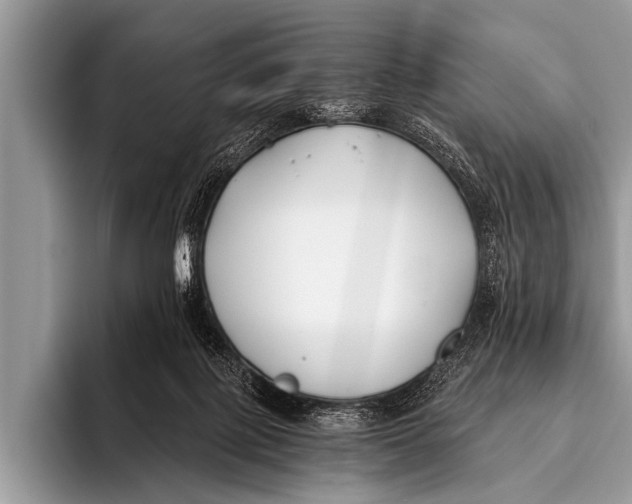 X0000096180075200802081508