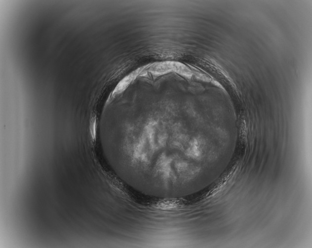 X0000096180076200802081508