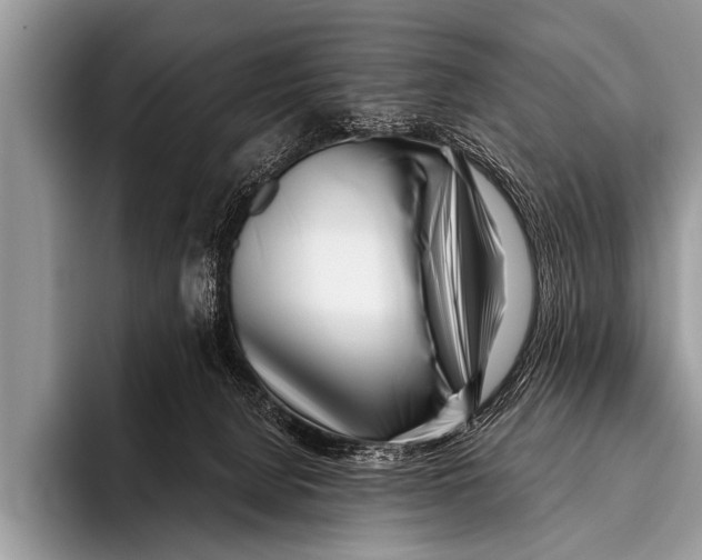 X0000096180080200802081508