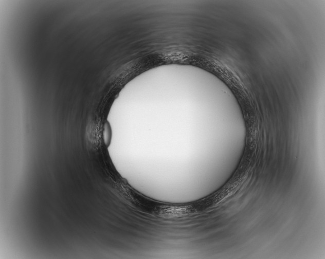 X0000096180081200802081508