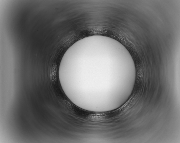 X0000096180082200802081508