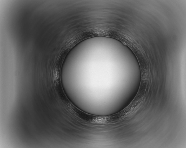 X0000096180084200802081508