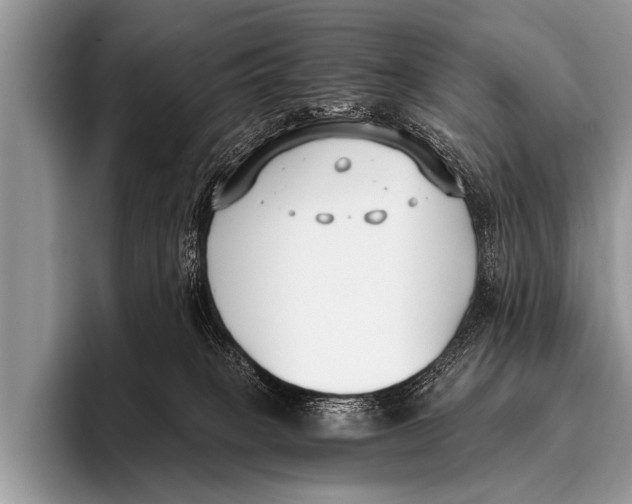 X0000096180085200802081508