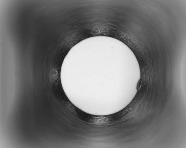 X0000096180087200802081508