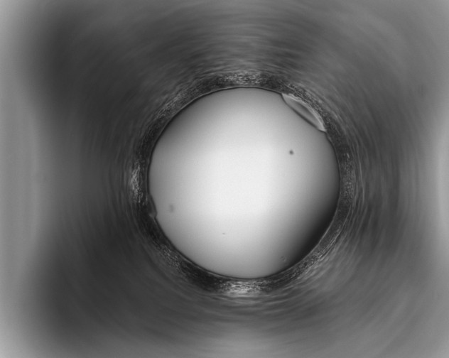 X0000096180088200802081508