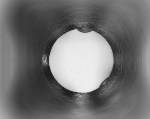 X0000096180089200802081508