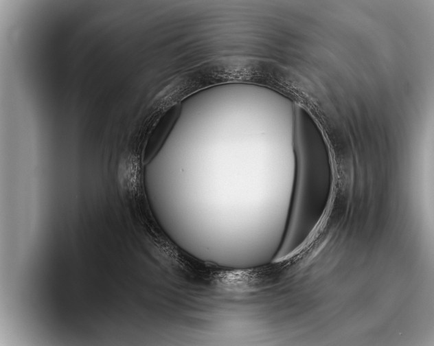 X0000096180092200802081508