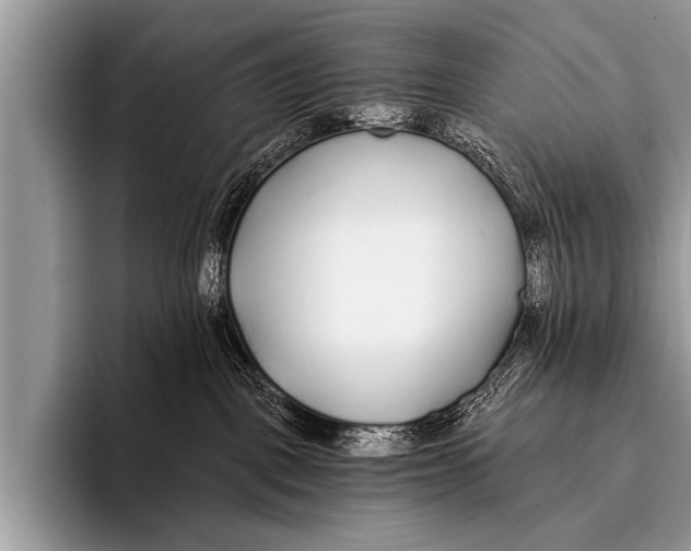 X0000096180093200802081508