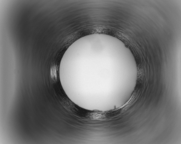 X0000096180094200802081508