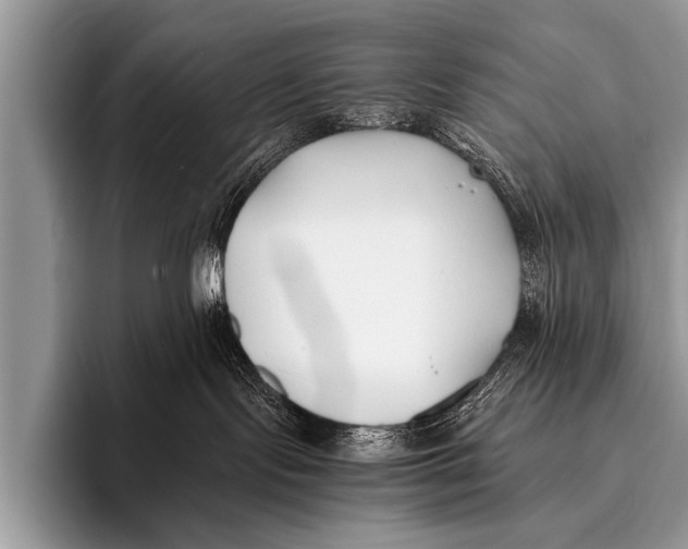 X0000096180095200802081508