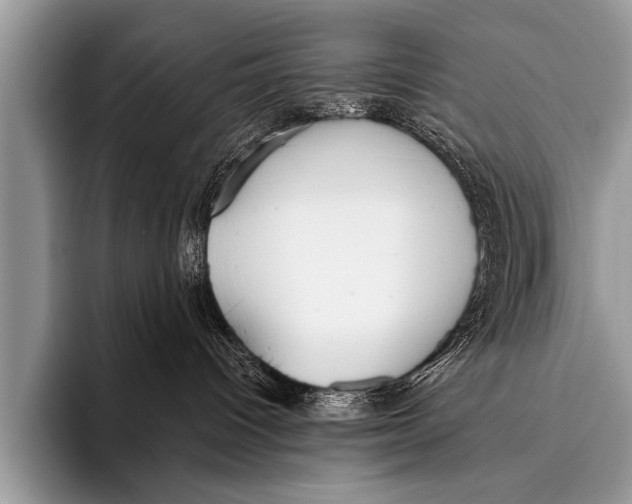 X0000096180096200802081508