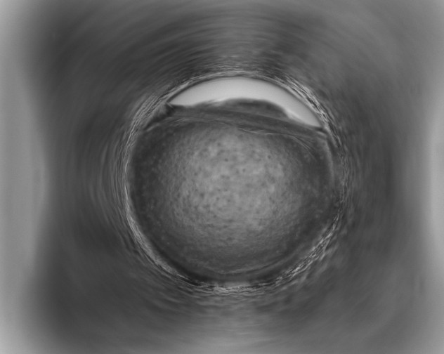 X0000096180097200802081508