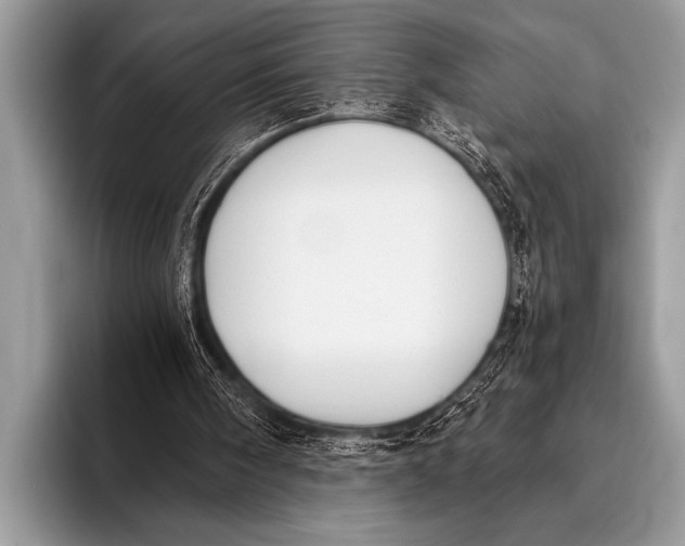X0000096180098200802081508
