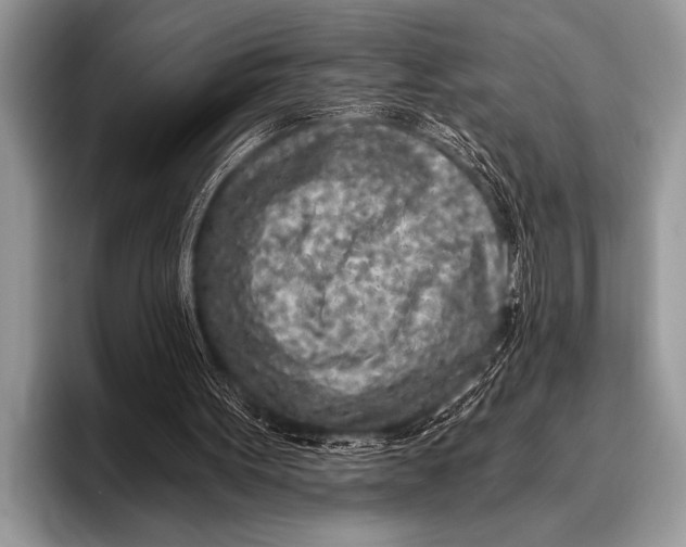 X0000096180099200802081508