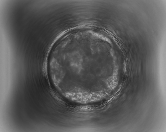 X0000096180100200802081508