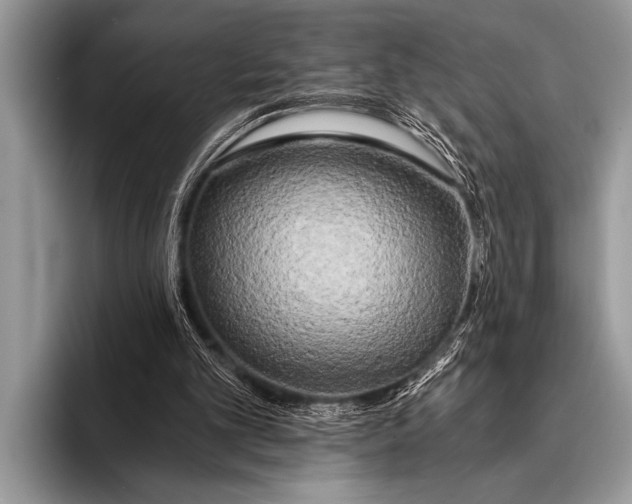 X0000096180101200802081508