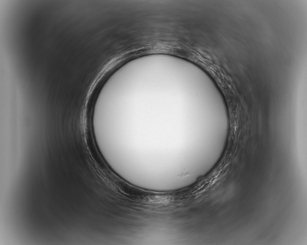 X0000096180102200802081508