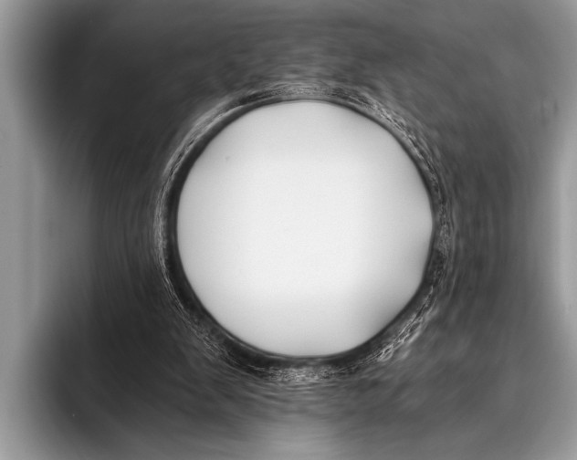 X0000096180103200802081508