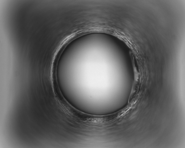 X0000096180104200802081508