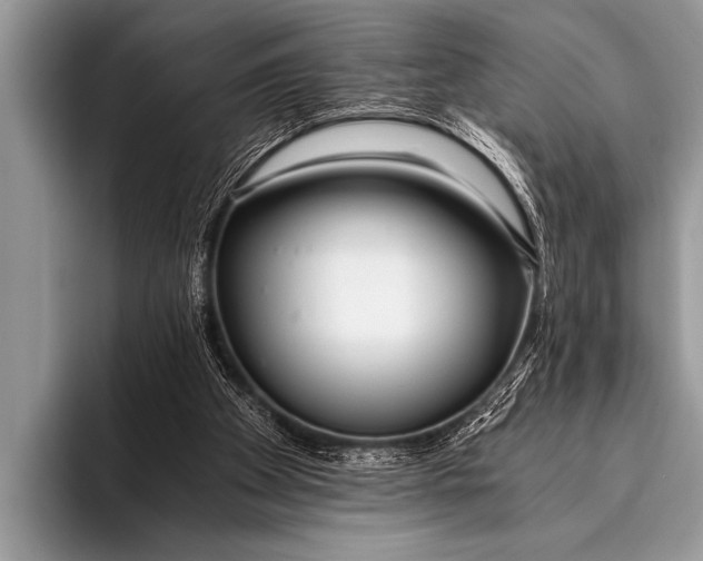 X0000096180105200802081507