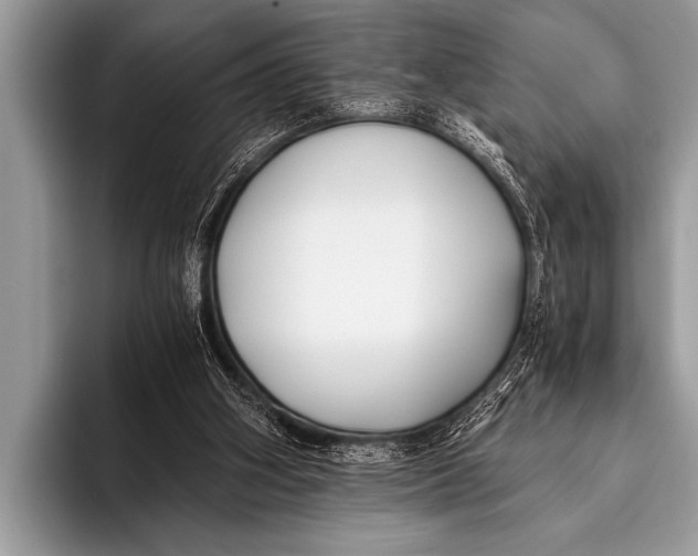 X0000096180106200802081507