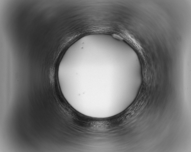 X0000096180107200802081507