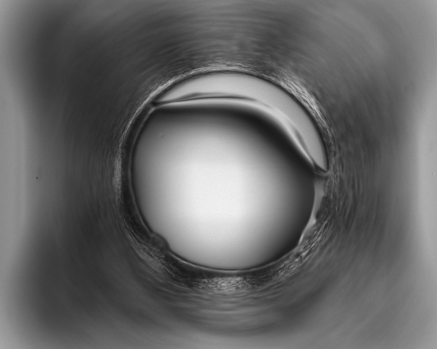 X0000096180108200802081507
