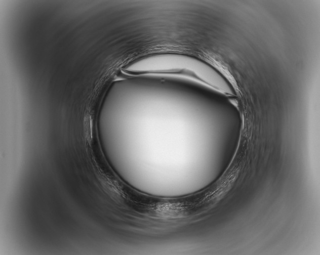 X0000096180109200802081507