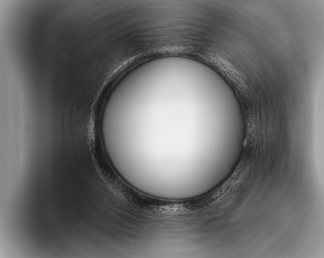 X0000096180112200802081507