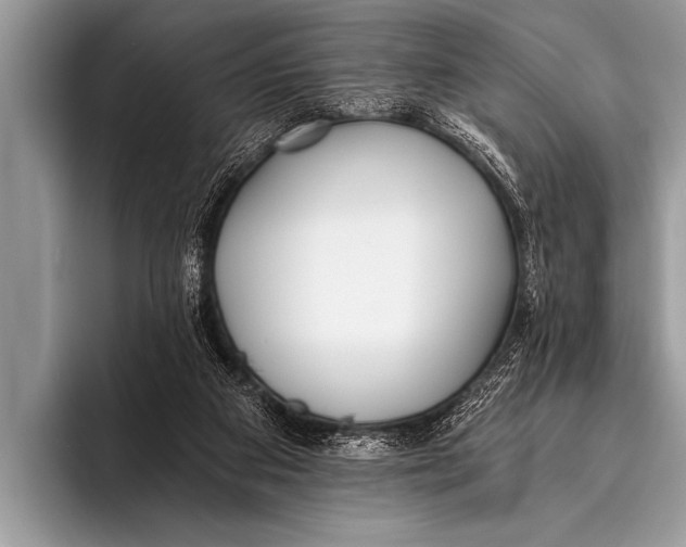 X0000096180113200802081507