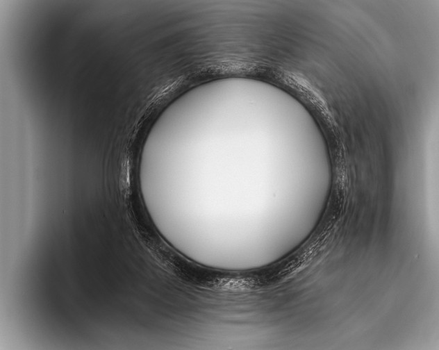 X0000096180115200802081507