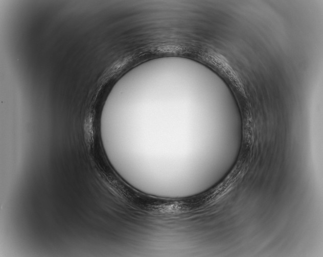 X0000096180116200802081507