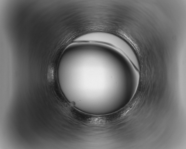 X0000096180117200802081507
