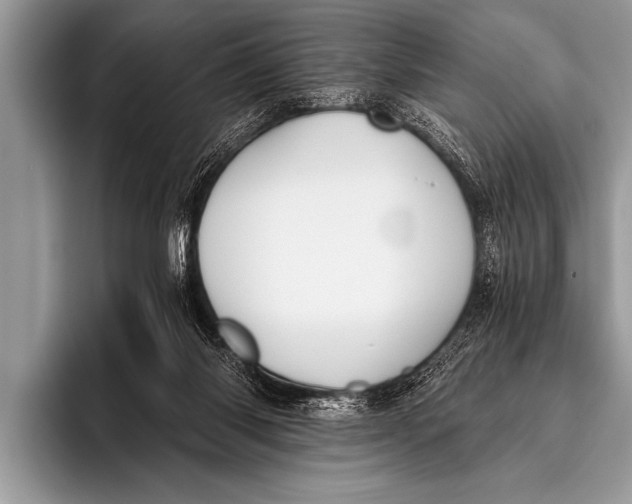 X0000096180118200802081507
