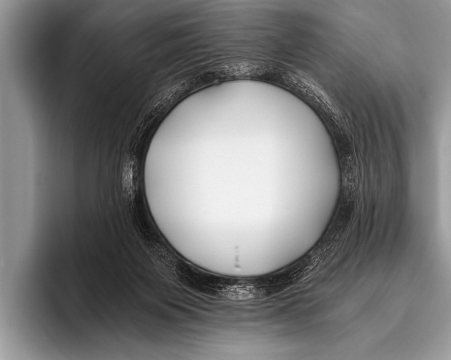 X0000096180119200802081507