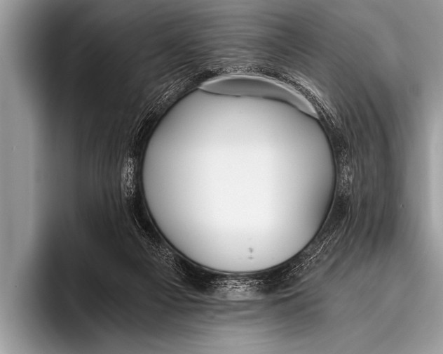 X0000096180121200802081507