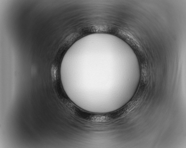 X0000096180123200802081507