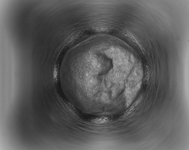 X0000096180124200802081507