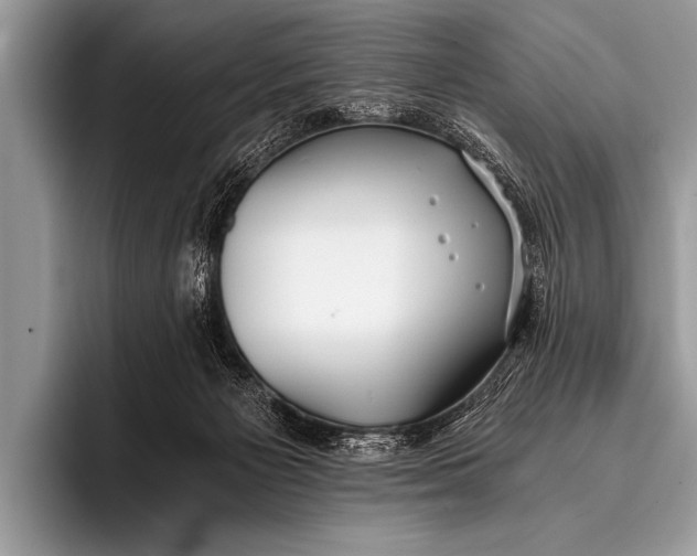 X0000096180125200802081507